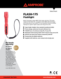 Thumbnail of document FLASH 175 Data Sheet 6519